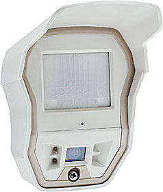 Outdoor PIR detector with Curtain Lens and camera, batteries included