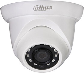 IP ball kamera, TD/N, HD 1080p, 2MP, f=2.8mm, DWDR, IR 30m, IP67