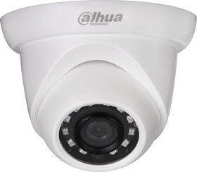 IP ball kamera, 2MP, 2.8mm, DWDR, IR 30m, H.265(+), IP67